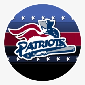 Boston Patriots Logo - Somerset Patriots Logo