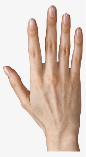 Hand Showing Five Fingers Png Clipart Image - Png Hand