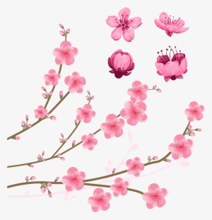 Cherry Blossom Drawing Illustration - Clip Art Cherry Blossoms