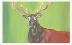 Red Stag 12 - Elk