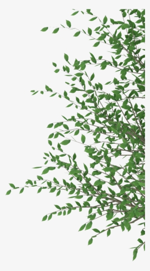 Cut Out Photoshop - Adobe Photoshop