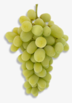 Green Grapes Png Pic - Grape