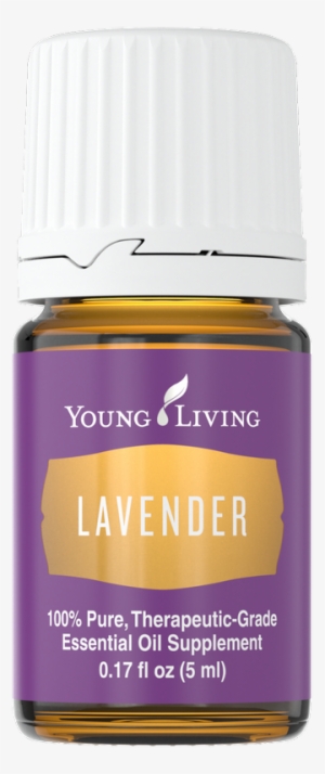 Lavender Oil - Young Living Lavender Transparent