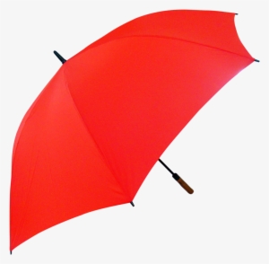 Umbrella Png Transparent Image - Umbrella All Png