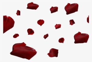 Red Rose Petals Png