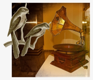 Birds Listening - Music