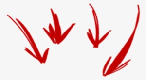 Setas Doces Gourmet - Contact Us