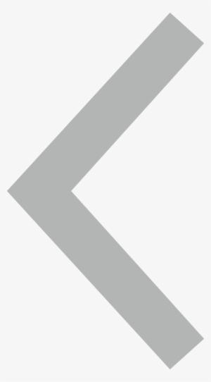 Would You Like Any Of These Other Items - Back Icon Grey