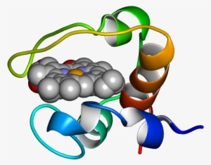 Database Information - Illustration