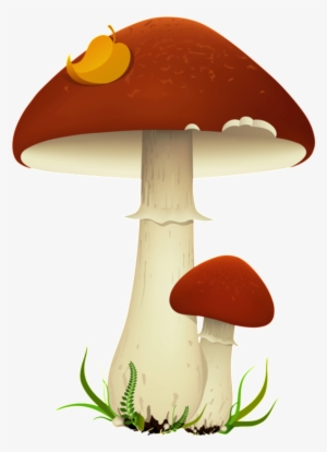 Patron De Dibujos Animados De Seta Elementos - Mushrooms Party Clipart