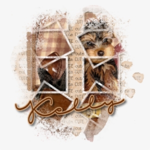 Yorkie Masked - Yorkshire Terrier