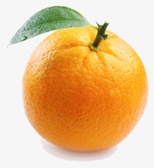 Single Orange Transparent Image - Things That Are Color Orange