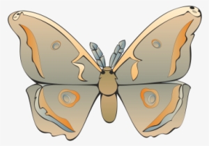 Commercial Use Flying Insects, Insect, Nature, Animal - Vector