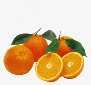 Oranges Transparent Background Png Image - South Africa Valencia Orange