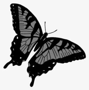 Commercial Use Flying Insects, Insect, Nature, Animal - Papilio Machaon