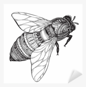 Hand Drawn Honey Bee In Zentangle Style - Black And White Bee Drawing