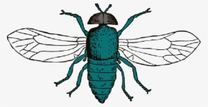 Mb Image/png - Cartoon Fly Shower Curtain