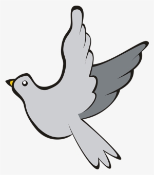 Free Photo Adobe Sky Bird Flight Pigeon