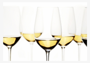 Cinquecento Vini Bianchi Dal Mondo - Hughes Natasha