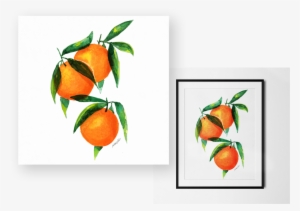 Kls Overlap Fruit