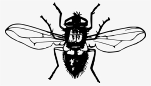 Vector Graphics,free Illustrations,free - Fly Png Black