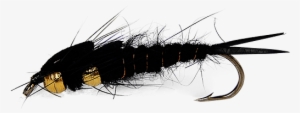 Double Tung-stonefly - Library