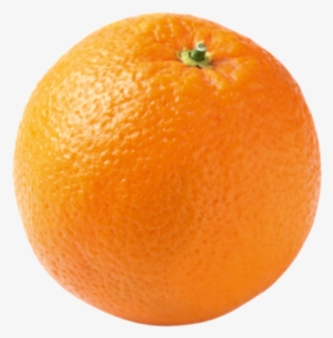Oranges - Photograph