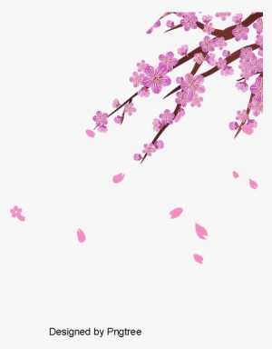 Vector Cherry, Vector, Cherry Blossoms, Flower Png - Cherry Blossom
