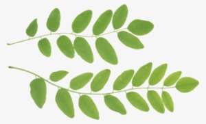 Translate - Fortællinger Om Relationspsykologi I Praksis: I Praksis