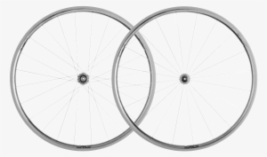 The Smart Enve System - Wheel