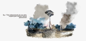 A La Industria Europea E Los Biocombustibles - Forest