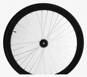 Learn About Bicycle Safety - Bicycle Tires Graphics Transparent