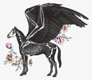 Pegasus Pale Ale - Pegasus