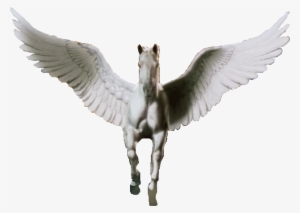 Pegasus Download Png Image - Tristar Pictures Pegasus Logo