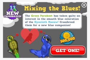 Blue Parakeet Modal - Blue Parakeet