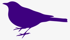 Original Png Clip Art File Parakeet Svg Images Downloading