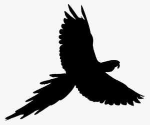 Parrot Bird Budgerigar Cockatiel Parakeet - Parrot Silhouette Png