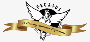 Pegasus Registration Continuing - Illustration