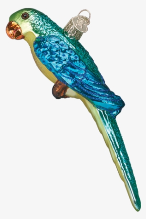 Old World Christmas Ornament - Parakeet