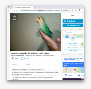 Is A *type* Of Parrot It Just Does Not *talk* Or Do - Budgie