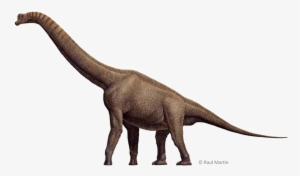 Brachiosaurus Png Free Download - Imagem De Dinossauro Braquiossauro