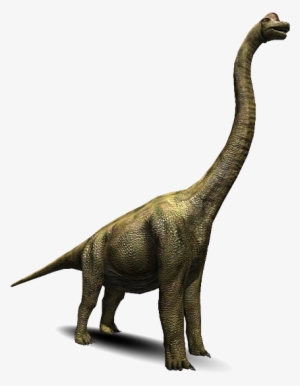 Brachiosaurus - Brachiosauro Png
