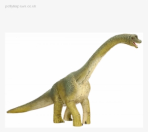 Door To Door Insurance Schleich 14581 Dinosaurs Brachiosaurus - Schleich 14581 Brachiosaurus