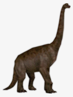 type of dinosaur with long neck