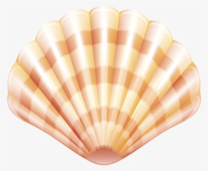 Seafood Lobster Shellfish Mussel Crab Sea Shell