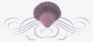 Seashell Flourish - Seashell Divider Png
