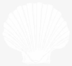 Transparent Sea Shell Clip Art