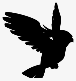 Liked Like Share - Pidgeot