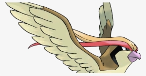 Sfetsos University-developed Research On Professional - Pokemon Pidgeot