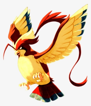 “drew Mega Pidgeot In My Sketchbook Earlier Then Colored - Pokémon